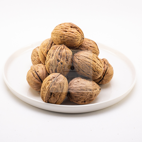 Kabuklu Ceviz Bursa