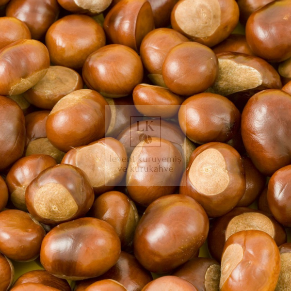 Kestane